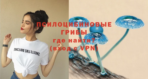 ПСИЛОЦИБИНОВЫЕ ГРИБЫ Кулебаки