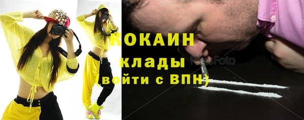 прущие грибы Ладушкин