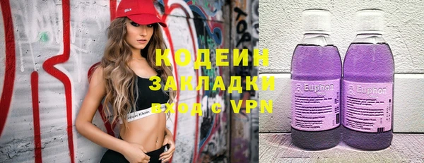 ПСИЛОЦИБИНОВЫЕ ГРИБЫ Кулебаки