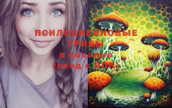 mdpv Великий Новгород
