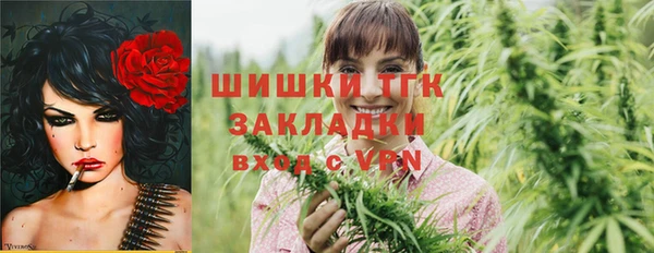 ПСИЛОЦИБИНОВЫЕ ГРИБЫ Кулебаки
