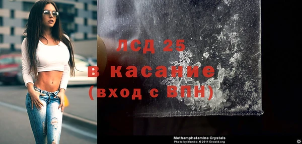 ПСИЛОЦИБИНОВЫЕ ГРИБЫ Кулебаки