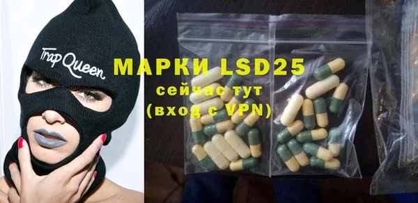 ПСИЛОЦИБИНОВЫЕ ГРИБЫ Кулебаки