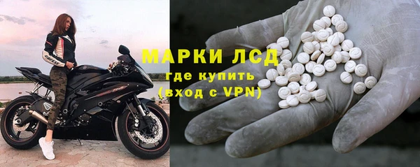прущие грибы Ладушкин