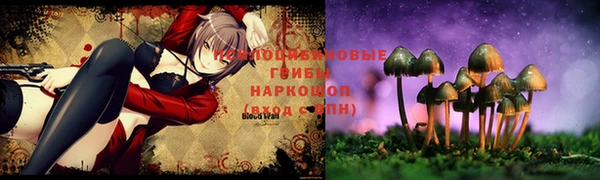 a pvp Куйбышев